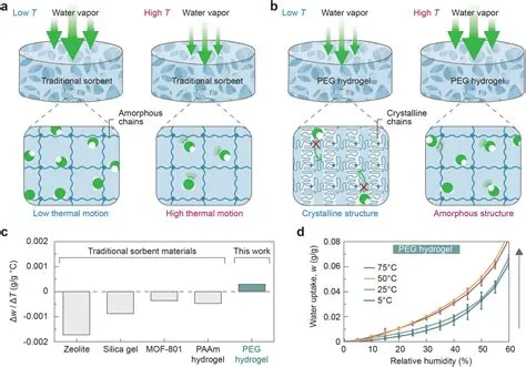  Hydrogel - Vật Liệu Mới Cho Pin Năng Lượng Hấp Thu?