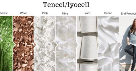  Tencel: Vật liệu dệt may sinh học bền vững và thân thiện môi trường!