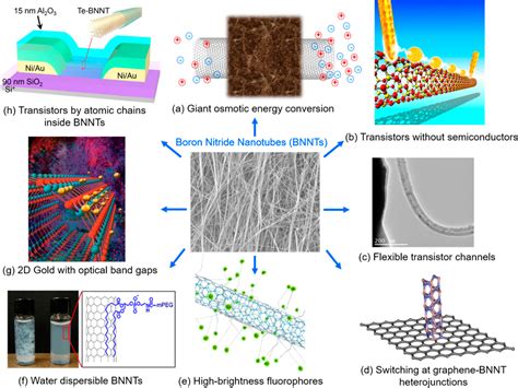  Xenon Nanotubes: Ứng dụng trong Điện tử và Năng lượng Tái tạo?