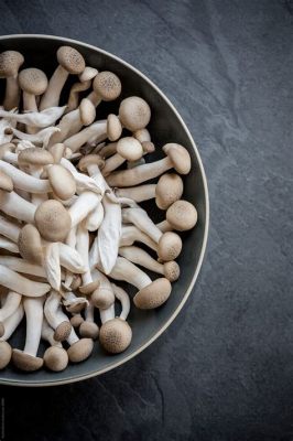  Edible Mushroom - A Bountiful Harvest for Food and Pharmaceutical Industries!