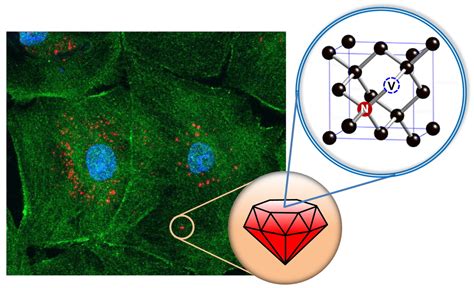 Nanodiamond: Siêu vật liệu cho ứng dụng đột phá trong y học và công nghệ cao!